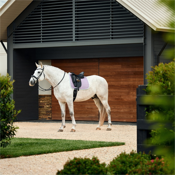 2026 WeatherBeeta Suede Elite Air-Tec Dressage Saddle Pad 1030346011 - Soft Lilac